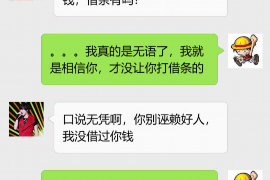 铜陵为什么选择专业追讨公司来处理您的债务纠纷？